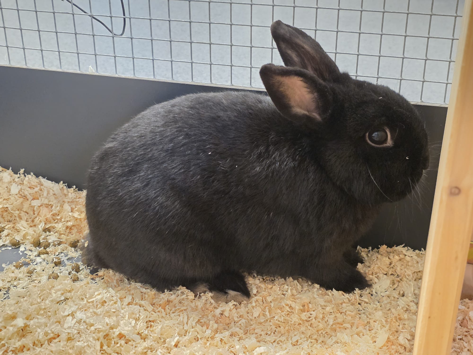 WhatsApp Image 2025-12-14 at 15.05.47 (2).jpeg